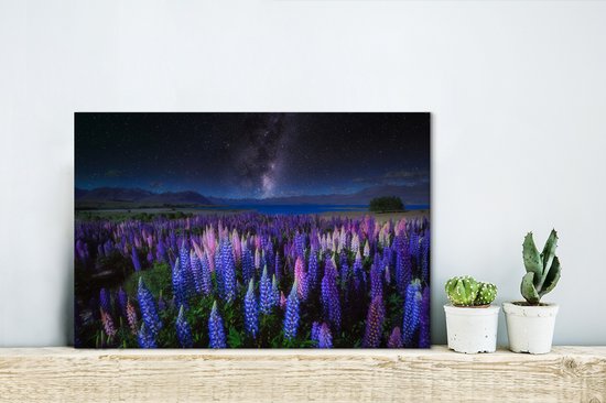 Champ de fleurs avec des lupins violets et bleus la nuit au lac Tekapo en Nouvelle-Zélande 30x20 cm - petit - Tirage photo sur toile (Décoration murale salon / chambre) / Peintures Fleurs sur toile
