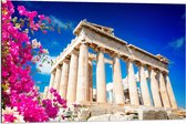 Dibond - Parthenon in Athene met Bloesembloemen - 90x60cm Foto op Aluminium (Met Ophangsysteem)