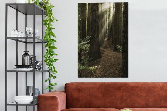 Canvas Schilderij Zonnestralen tussen de Redwood bomen - 80x120 cm - Wanddecoratie