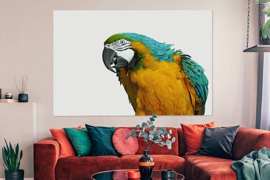 Perroquet devant toile de fond blanc 2cm 180x120 cm - Tirage photo sur Toile (Décoration murale salon / chambre) / Animaux sauvages Peintures sur toile XXL / Groot format!