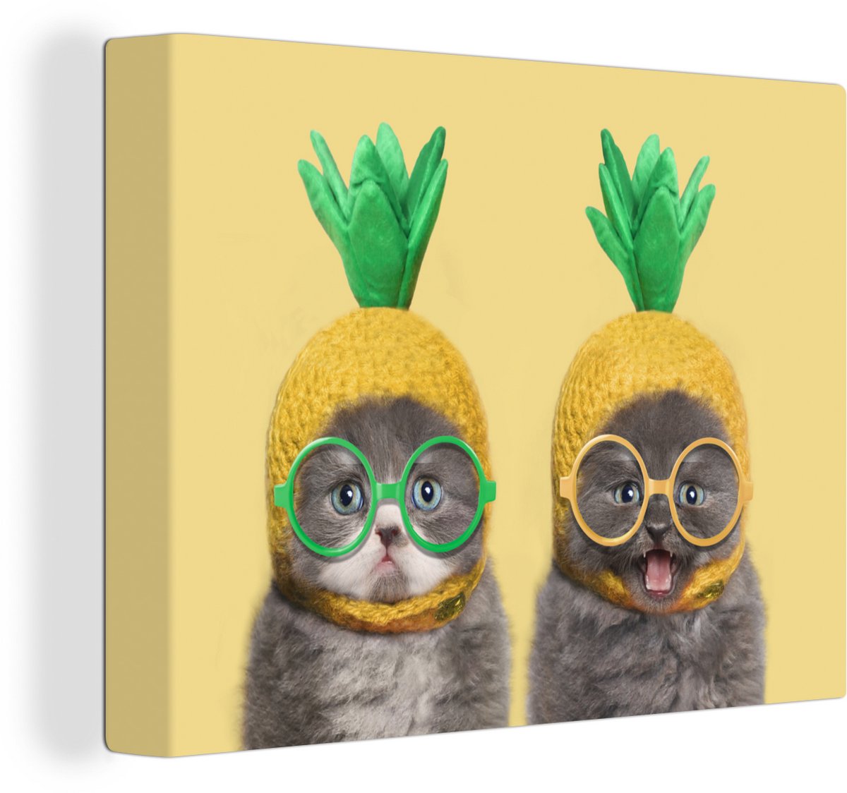 Canvas Schilderij Kat - Hoed - Ananas - 120x90 cm - Wanddecoratie