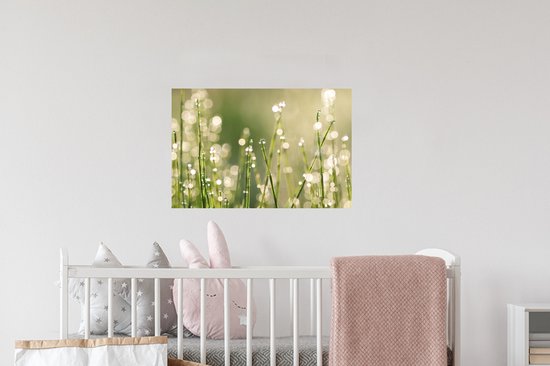 Sticker Muursticker Rosée précoce - Rosée précoce sur brins d'herbe - 60x40 cm - film adhésif autocollant - sticker mural repositionnable