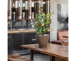 Aralia Polyscias kunstplant 60cm