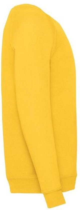 Sweat à manches raglan unisexe Fruit Of The Loom Enfants (tournesol)