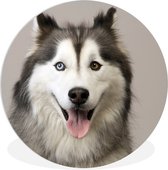 WallCircle - Wandcirkel ⌀ 60 - Husky portret - Ronde schilderijen woonkamer - Wandbord rond - Muurdecoratie cirkel - Kamer decoratie binnen - Wanddecoratie muurcirkel - Woonaccessoires