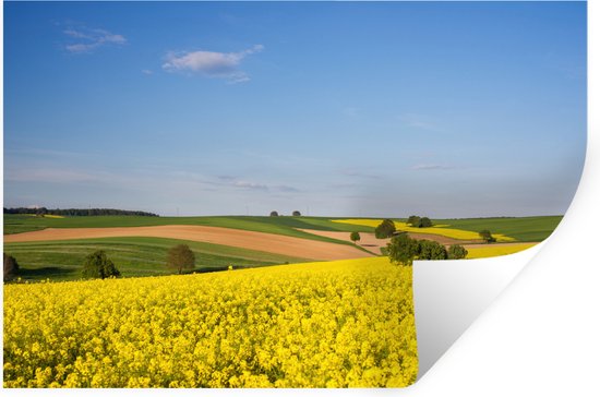 Stickers muraux - Printemps - Fleurs - Jaune - 120x80 cm - Film Adhésif