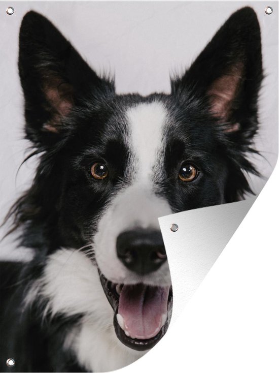 Tuin decoratie Vrolijke Border Collie - 30x40 cm - Tuindoek - Buitenposter