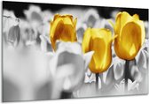 Schilderij Op Canvas Tulpen - Geel, Grijs, Wit - 120x70cm 1Luik - Foto Op Canvas - GroepArt 6000+ Schilderijen 0p Canvas Art Collectie - Wanddecoratie - Woonkamer - Slaapkamer - Canvas Print