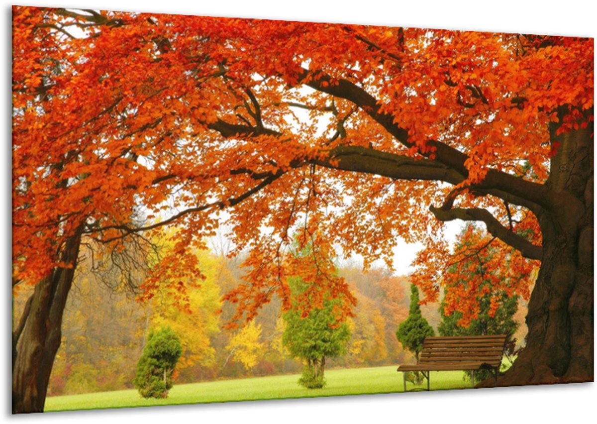 Glasschilderij Herfst - Oranje, Groen, Geel - 120x70cm 1Luik - Foto Op Glas - Geen Acrylglas Schilderij - GroepArt 6000+ Glasschilderijen Art Collectie - Wanddecoratie - Woonkamer - Slaapkamer