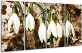 Peinture sur verre fleur | Vert, marron, blanc | 160x80cm 4 Liège | Tirage photo sur verre |  F003346