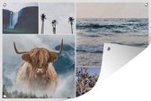 Posters de jardin Scottish Highlander - Collage - Cascade - Palmier - 90x60 cm