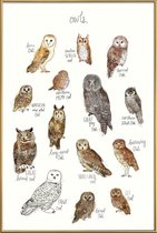JUNIQE - Poster met kunststof lijst Uilen illustratie -60x90 /Bruin &