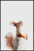 JUNIQE - Poster in kunststof lijst Red Squirrel II -20x30 /Grijs &