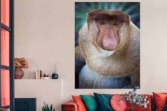 Un gros plan d'un poster singe proboscis 120x180 cm - Tirage photo sur Poster (décoration murale salon / chambre) / Poster Animaux sauvages XXL / Groot format!