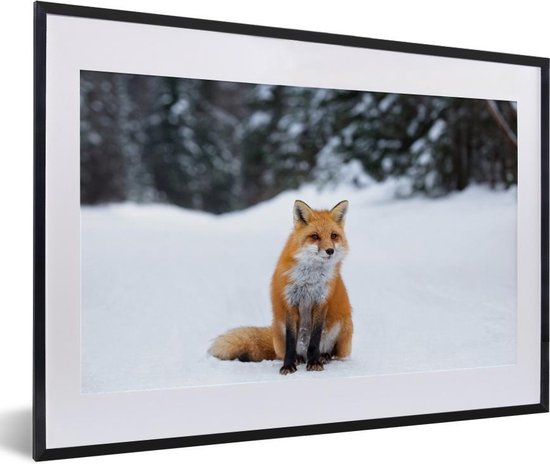 Fotolijst incl. Poster - Vos - Sneeuw - Bos - 60x40 cm - Posterlijst