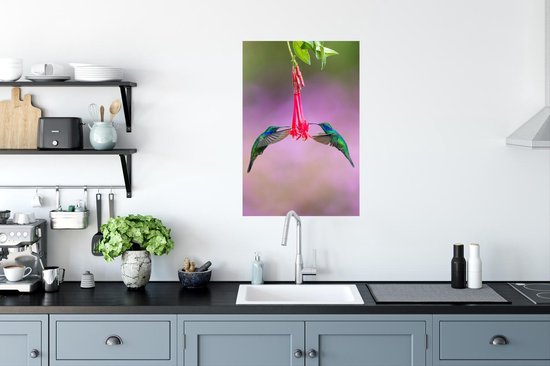 Une belle photo symétrique d'un ensemble de colibris buvant à une fleur au Costa Rica Poster 60x90 cm - Tirage photo sur Poster (décoration murale salon / chambre)