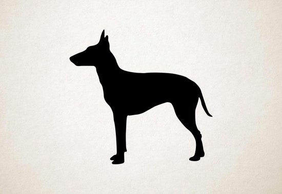 Silhouette hond - Manchester Terrier - M - 60x64cm - Zwart - wanddecoratie