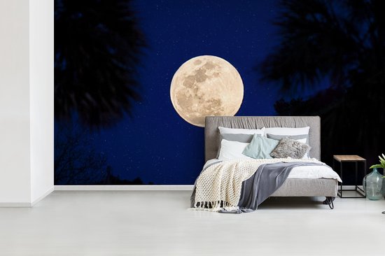 Papier peint photo vinyle - Une pleine lune dans un ciel nocturne bleu avec des étoiles largeur 465 cm x hauteur 260 cm - Tirage photo sur papier peint (disponible en 7 tailles)