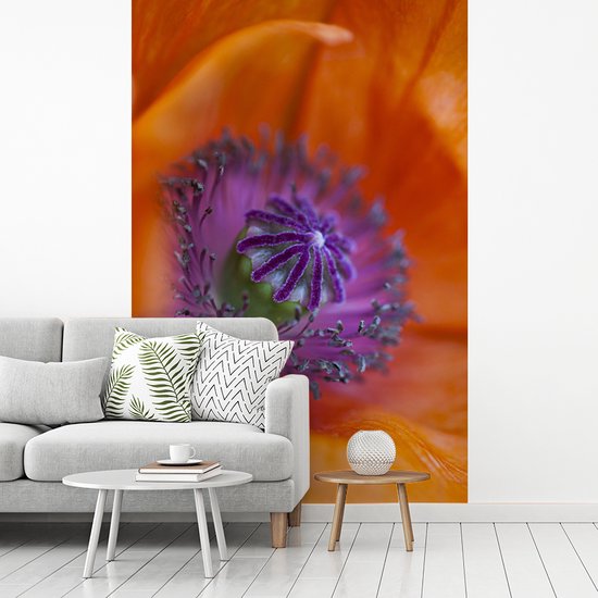 Image macro du pistil d'un coquelicot 200x300 cm