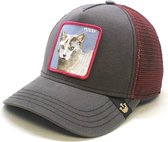 Goorin Bros. Whiskers Pussy Trucker cap
