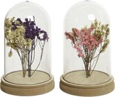 Decoris Stolp glas met bloemen Ø11.5-H18cm (1 stuk) assorti