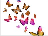 Poster – Mooie Vlindertjes op Witte Achtergrond - 40x30cm Foto op Posterpapier