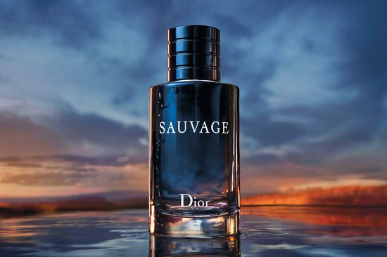 Dior Sauvage Eau De Toilette 100 ml | bol