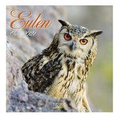 Comello Kalender Owls 2021 30 X 30 Cm Papier