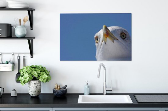 Gros plan de mouette 90x60 cm - Tirage photo sur toile (Décoration murale salon / chambre)