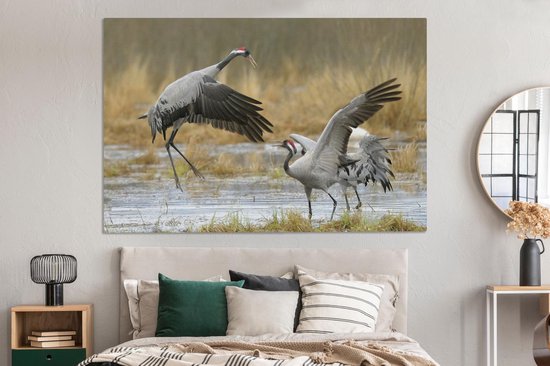 Grues européennes en eaux peu profondes Toile 180x120 cm - Tirage photo sur toile (Décoration murale salon / chambre) XXL / Groot format!
