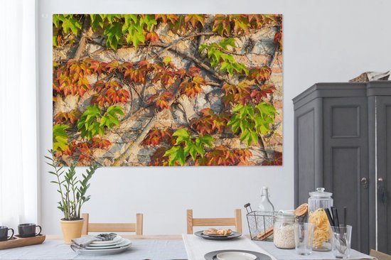 Feuilles d'Hedera rouges et vertes sur un mur de pierre Toile 180x120 cm - Tirage photo sur Toile (Décoration murale salon / chambre) XXL / Grand format!