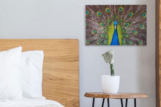 Mâle paon exhibe ses plumes rouges Toile 30x20 cm - petit - Tirage photo sur toile (Décoration murale salon / chambre)