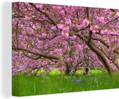 Canvas Schilderij Kersenboom - Bloesem - Roze - 30x20 cm - Wanddecoratie