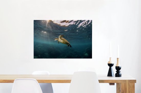 Tortue en eau claire sur toile 80x60 cm - Tirage photo sur toile (Décoration murale salon / chambre) / Peintures sur toile Animaux