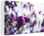 Canvas Schilderij Seringenbloemen in de natuur - 120x80 cm - Wanddecoratie