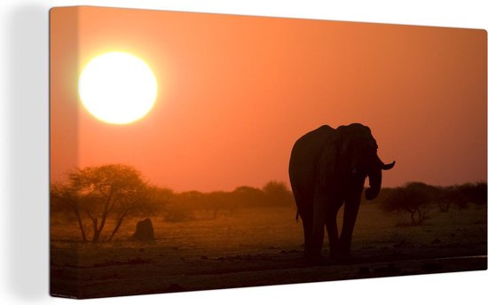 Canvas Schilderij Olifant bij zonsondergang in het Nationaal park Nxai Pan - 80x40 cm - Wanddecoratie