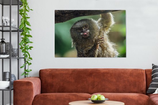 Ouistiti pygmée tirant la langue sur toile 2cm 140x90 cm - Tirage photo sur toile (Décoration murale salon / chambre) / Animaux sauvages Peintures sur toile