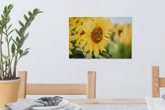 Gros plan d'une abeille sur un tournesol 30x20 cm - petit - Tirage photo sur toile (Décoration murale salon / chambre) / Peintures Fleurs sur toile