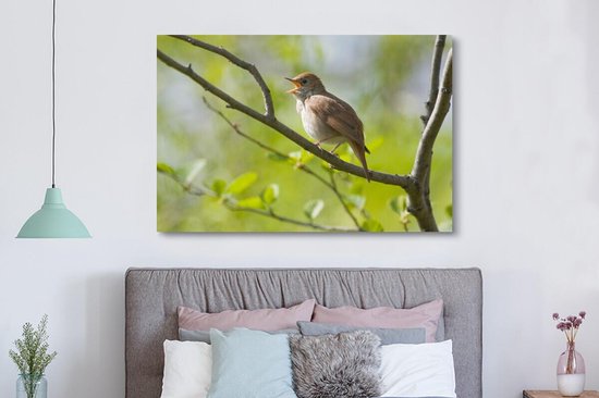 Tableau sur toile Rossignol chantant sur une branche - 150x100 cm - Décoration murale