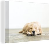 Chiot endormi sur un plancher en bois 120x90 cm - Tirage photo sur toile (Décoration murale salon / chambre) / Peintures sur toile Animaux domestiques