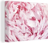 Canvas Schilderij Close-up van de binnenkant van een roze pioenroos - 120x90 cm - Wanddecoratie