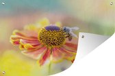 Tuindecoratie Kleurrijke close-up van een bij - 60x40 cm - Tuinposter - Tuindoek - Buitenposter