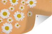 Tuinposter - Tuindoek - Tuinposters buiten - Kamillebloemen op oranje vloer - 120x80 cm - Tuin