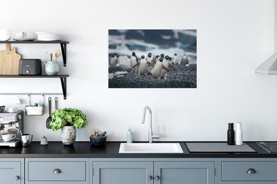 Adelie pingouins sur la plage poster papier 90x60 cm - Tirage photo sur Poster (décoration murale salon / chambre) / Poster Animaux sauvages