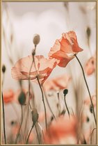 JUNIQE - Poster met kunststof lijst Sunkissed Flowers 1 -20x30 /Grijs