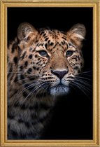 JUNIQE - Poster met houten lijst Waiting to Pounce -30x45 /Geel &