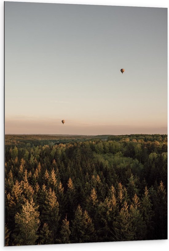 Dibond - Luchtballonnen boven Regenwoud - 80x120cm Foto op Aluminium (Met Ophangsysteem)