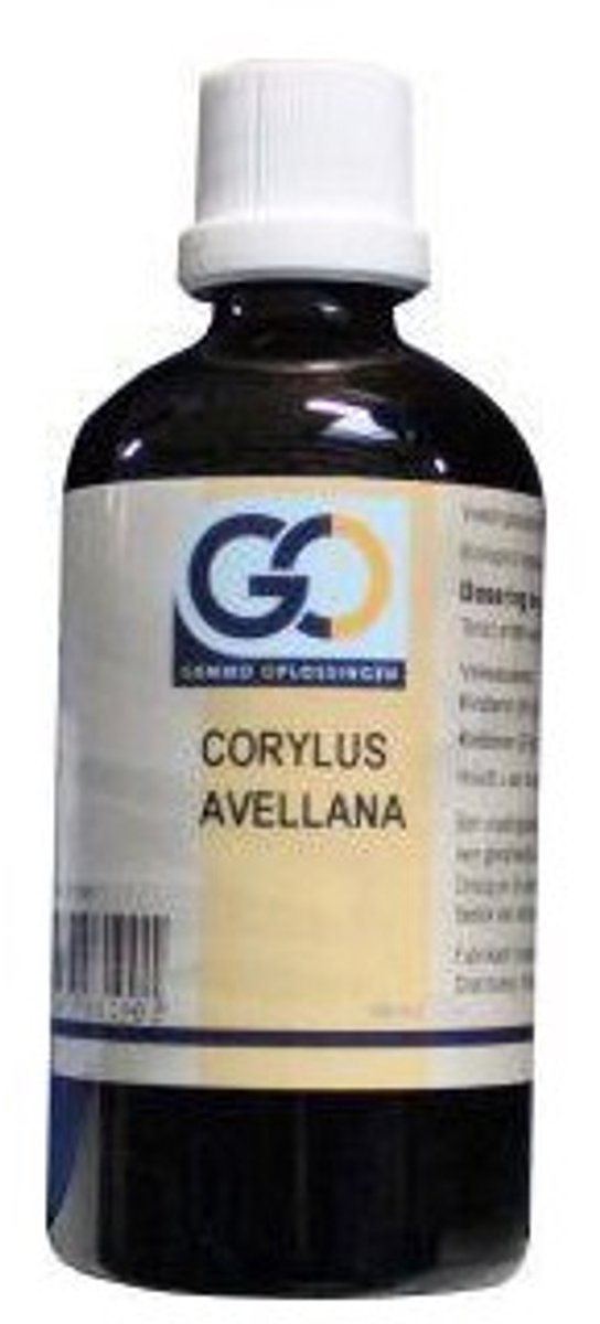 Goedkoopste Go Corylus Avellana
