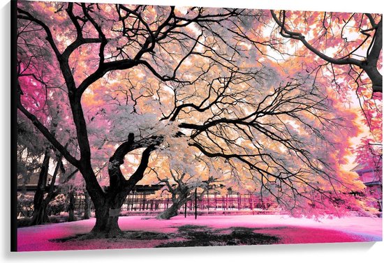 Canvas  - Wit/Roze Parkbomen  - 120x80cm Foto op Canvas Schilderij (Wanddecoratie op Canvas)