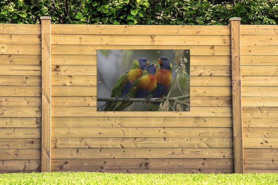 Deux Loris des montagnes bleues avec un garçon en Australie Affiche de jardin 120x80 cm - Toile de jardin / Toile d'extérieur / Peintures pour l'extérieur (décoration de jardin)